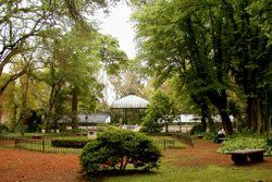 Interior Jardin Botanico Carlos Tays