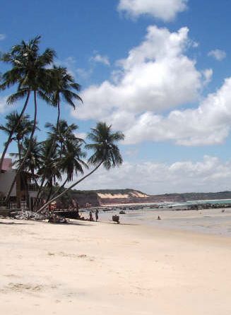 Guia turistica de Pipa Brasil