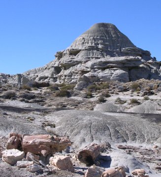 Bosque Petrificado La Leona