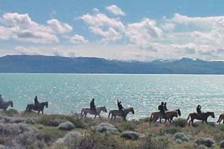 Cabalgatas en El Calafate