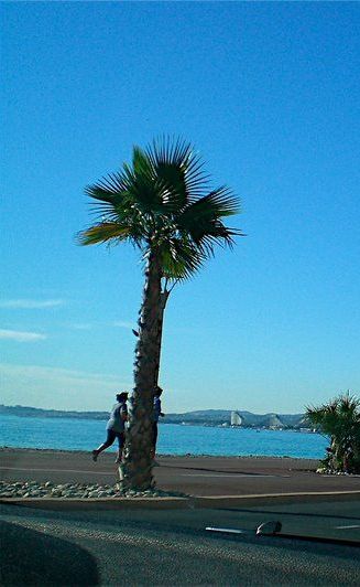 Turismo en Niza - Guía Turística de la Ciudad francesa