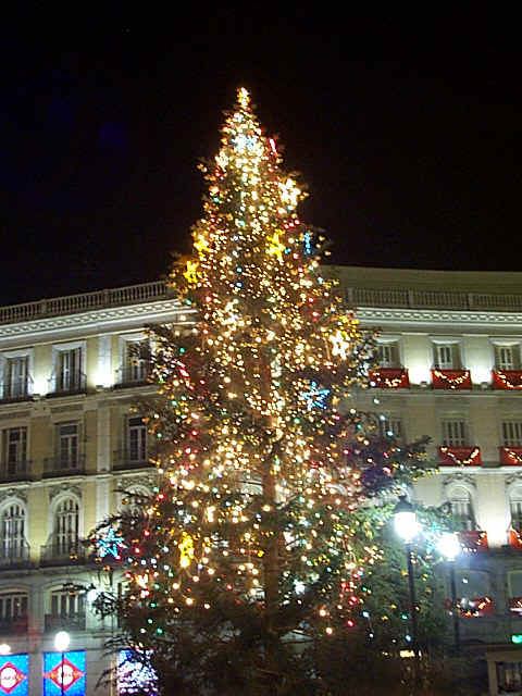 Arbol en la Puerta del Sol Madrid