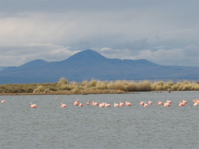 Laguna Llancanelo, Malargüe