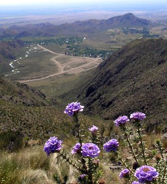 Manzano Histórico, Tunuyán