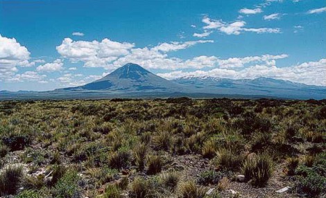 Volcán Payún Matru