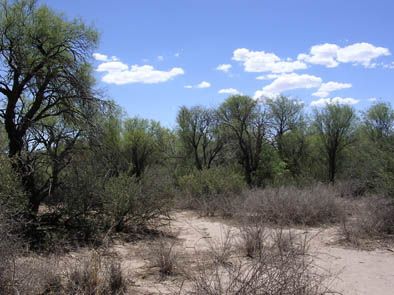 Reserva florística y faunística Bosque Telteca