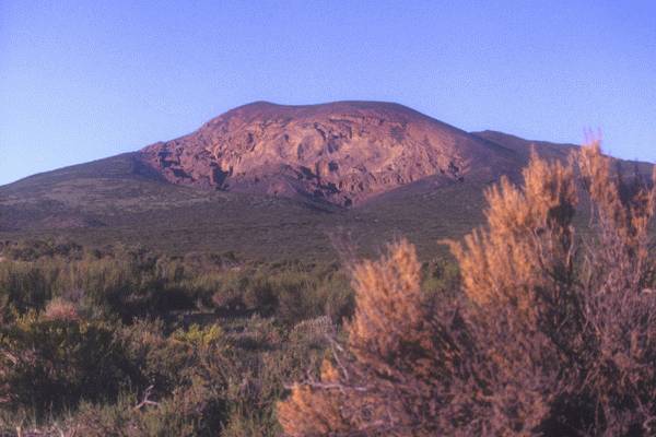 Reserva Provincial La Payunia