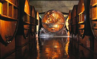 Toneles de la Bodega Escorihuela