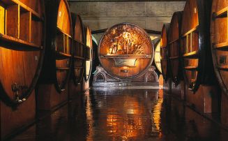 Toneles de vino utilizados en la Bodega Escorihuela de Godoy Cruz