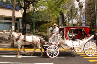 El tradicional paseo en Calandria recorrer la avenida principal de Acapulco