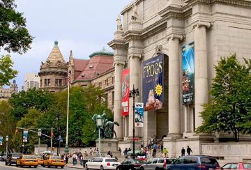 American Museum Of Natural History: Dinosaurios, meteoritos y mucho más han fascinado a generaciones de visitantes a este museo.