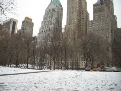 Central Park Nevado en épocas navideñas