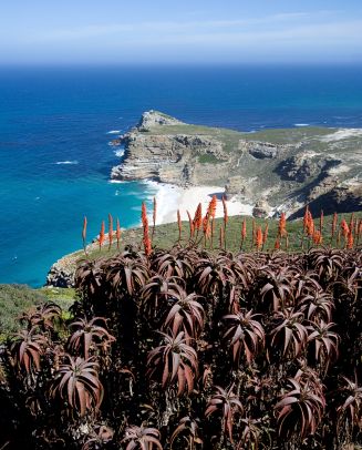 Cape Point (Sudáfrica)