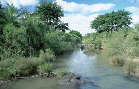 Parque Hluhluwe Umfolozi (Provincia de Zululand)