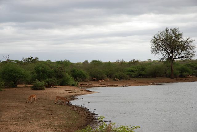 Parque Nacional Kruger