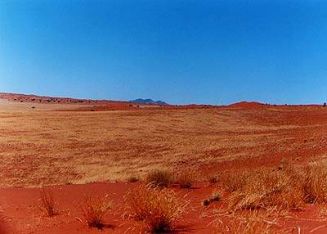 Parque Nacional del Kalahari