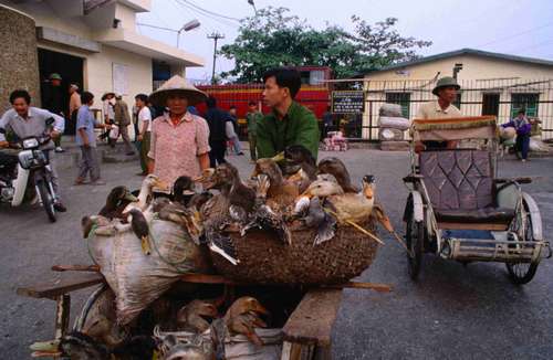 Centro de Hanoi