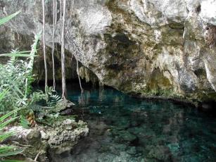 Gran Cenote, en Tulum Mexico