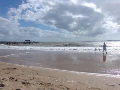 Playa Mansa Punta del Este