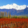 Mendoza