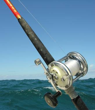 Pesca Recreativa en Mar del Plata