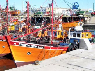 Barquitos en el Puerto de Mar del Plata